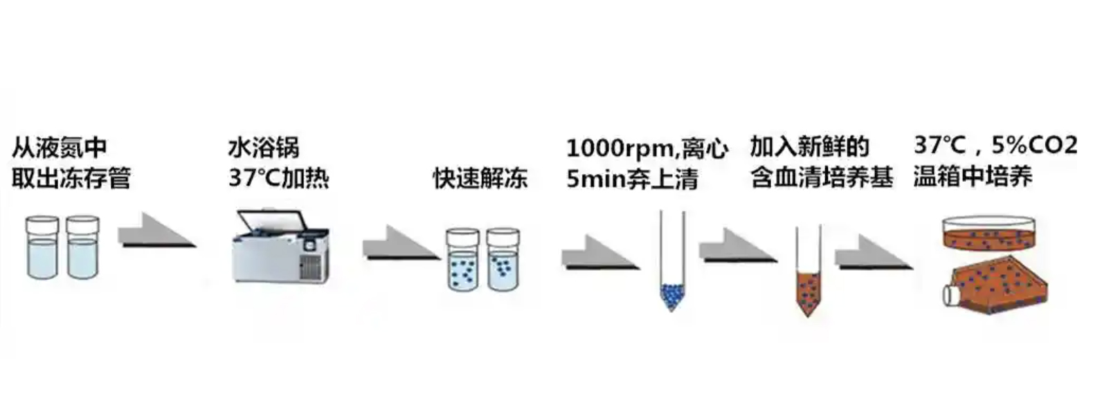 試劑使用流程