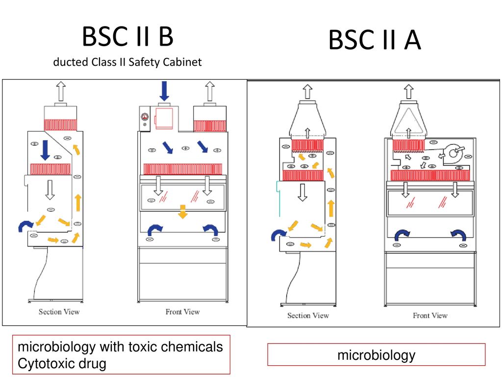 ducted+Class+II+Safety+Cabinet.jpg